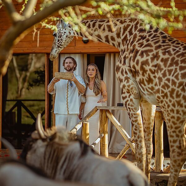 A love story written in the wild 