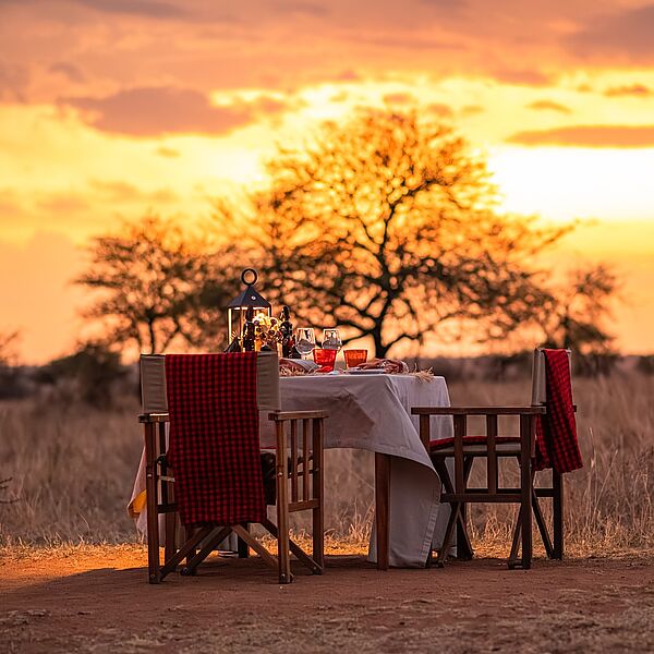 Vibe to drink at the nature