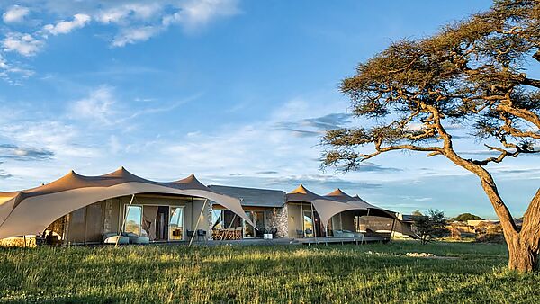 Where luxury meets the wild. ✨