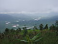 Nyabarongo River On Ruhengeri Hwy