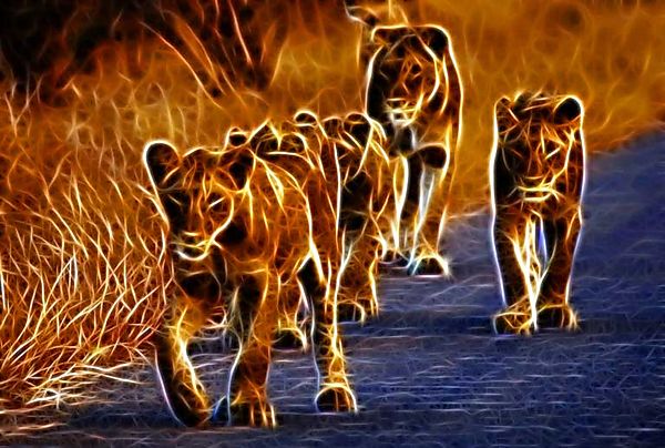 Art 2 - 4 lions cubs in the road