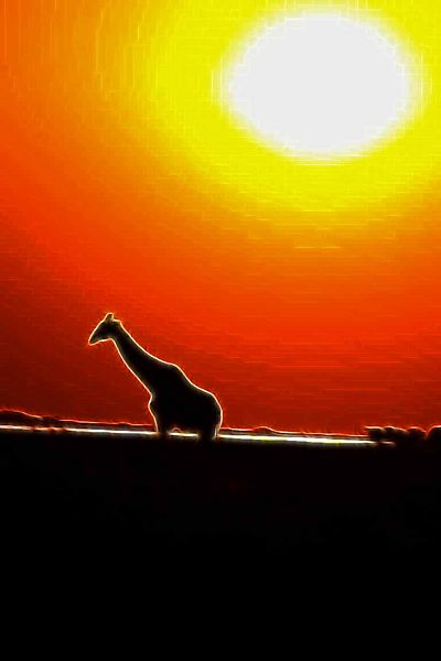 giraffe 6a