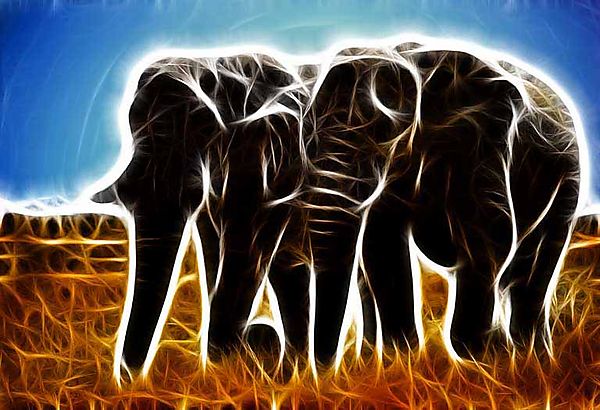 Manipulated Eephants