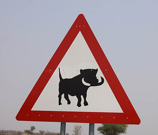 Only In Africa