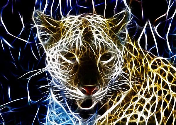 Psychodelic Leopard