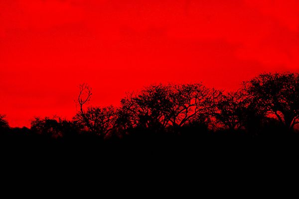 Red Sunset