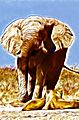 Manipulated photo of Elephant and Lions