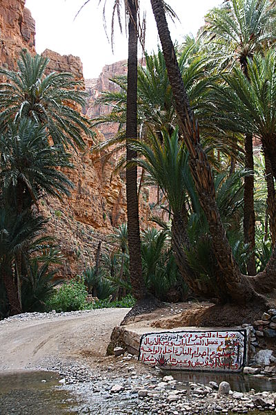 Gorges De Sidi-mansour.