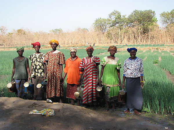 The "usual Suspects" In Sideradougou.