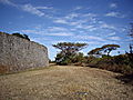 Great Zimbabwe Ruins