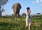 Ghana Wildlife Safari - Walking with Elephants