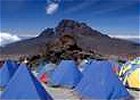Kilimanjaro Climb up the Shira Route