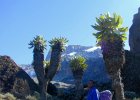 Mount Meru and Mt Kilimanjaro Climb Rongai Route