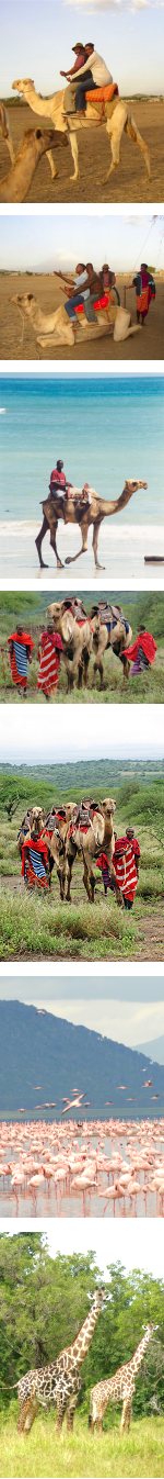 Camel Riding Expedition - Tanzania