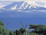 Rongai Route Kilimanjaro Climb & Tanzania safari