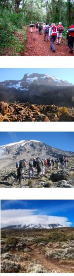 Kilimanjaro Climb - Rongai Route
