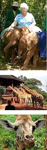 Karen Blixen Museum, Giraffe Manor & Elephant Orphanage